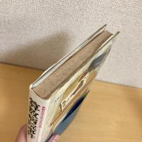 算数病院事件 新日本少年少女の文学2