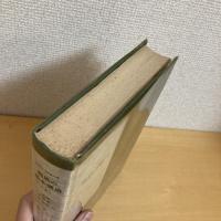 親族の基本構造（下）