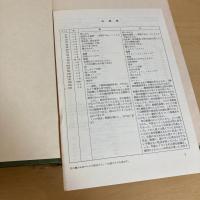 親族の基本構造（下）