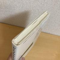 ドイツ人とドイツ美術 やっかいな遺産