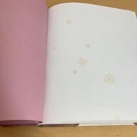 お母さんが読んで聞かせるお話 きん色の窓とピーター