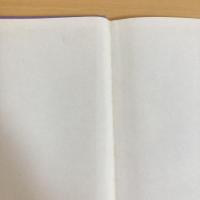 もう、めちゃめちゃにおこってんだから！