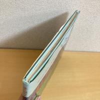 ネス湖のネッシー大あばれ