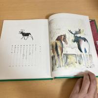 町にきたヘラジカ