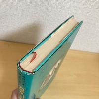 世界の傑作童話15 ガラス山の魔女たち