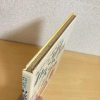 ちびっこたんてい ねこさがし大さくせん 旺文社こどもの本