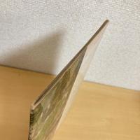 幼児教育絵本 こどものとも「こびとのおくりもの」第21号