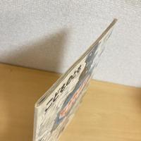 こどものとも 1987年12月号「ながれぼしをひろいに」　