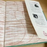 バイオリンのおとは山のおと 創作えほん13