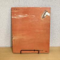 せいちゃんのおんどり サン企画のえほん②