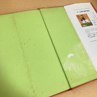 せいちゃんのおんどり サン企画のえほん②