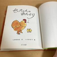 せいちゃんのおんどり サン企画のえほん②