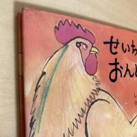 せいちゃんのおんどり サン企画のえほん②