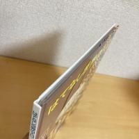 はてなし世界の入口 たくさんのふしぎ 傑作集