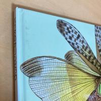 バッタのオリンピック たくさんのふしぎ 傑作集