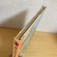 創作幼年童話1  ぞうのバイちゃん