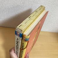 ポプラ社の創作童話4 トン子ちゃんのアフリカぼうけん 