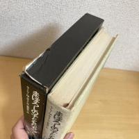 まぼろしの子どもたち 少年少女・新しい世界の文学11