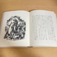 まぼろしの子どもたち 少年少女・新しい世界の文学11
