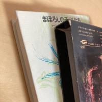 まぼろしの子どもたち 少年少女・新しい世界の文学11