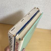 ムスティクのぼうけん 新1しい世界の童話シリーズ11