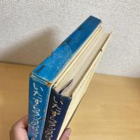 いたずらラッコのロッコ 創作児童文学選2