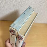 ユリアと魔法の都 ちくま少年文学館1