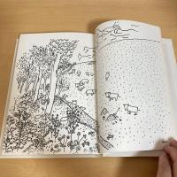 理論社の愛蔵版わたしのほん「星の牧場」
