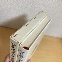 マルコヴァルドさんの四季 岩波ものがたりの本