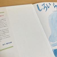 ジョイフルえほん傑作集18 しろいらくだ