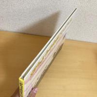 がちょうのたまごのぼうけん ハードカバー特製版