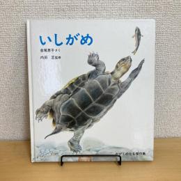 かがくのとも傑作集 いしがめ