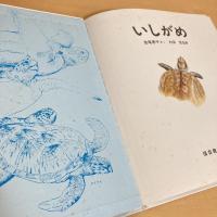 かがくのとも傑作集 いしがめ