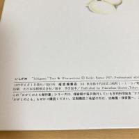 かがくのとも傑作集 いしがめ
