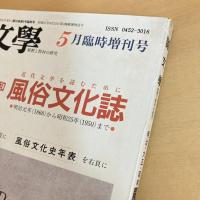 國文學 解釈と教材の研究 1995年5月臨時増刊号 第38巻6号
