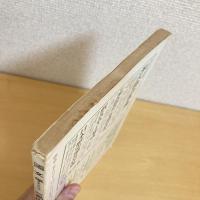 國文學 解釈と鑑賞 1981年7月号 第26巻9号