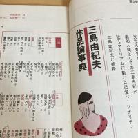 國文學 解釈と鑑賞 1981年7月号 第26巻9号