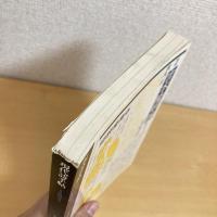 現代詩手帖 1972年8月臨時増刊号