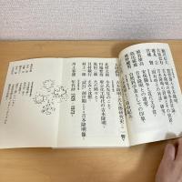現代詩手帖 1972年8月臨時増刊号