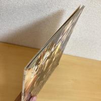 月刊かがくのとも208号「どろんこ」
