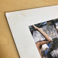 月刊かがくのとも208号「どろんこ」