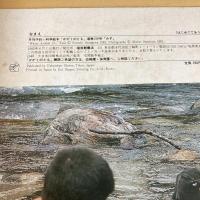 月刊かがくのとも159号「みず」