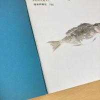 月刊かがくのとも155号「ほっけりょう」