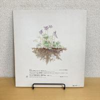 月刊かがくのとも157号「ねっこ」