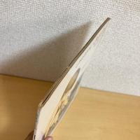 月刊かがくのとも101号「しおだまりのいきもの」