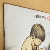 月刊かがくのとも101号「しおだまりのいきもの」