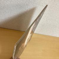 月刊かがくのとも 118号「いろいろいろ」