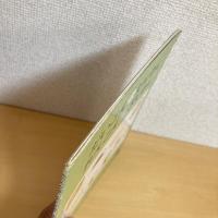 月刊かがくのとも181号「だいこん だんめん れんこん ざんねん」