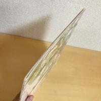 月刊かがくのとも204号「たらのき」