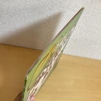 月刊かがくのとも190号「こねこをだいたこと ある？」
